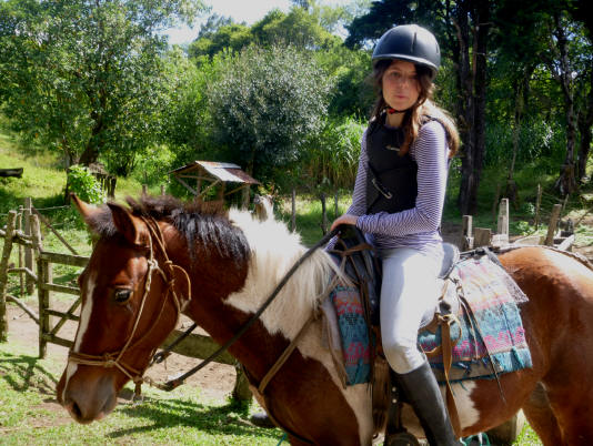 Horse Aragon at Smiling Horses Monteverde