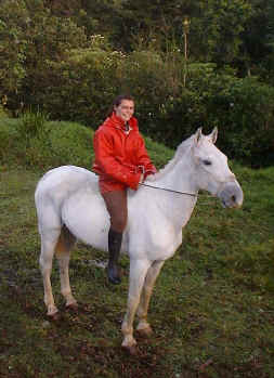 horse valiente 2