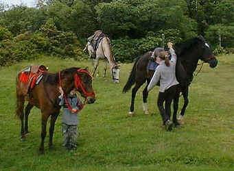 horses and children in Monteverde Costa Rica
