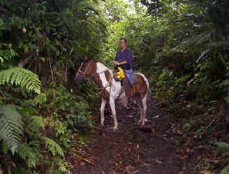 horseback riding in the jungle of Costa Rica 