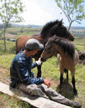 Monteverde Costa Rica horses and guide