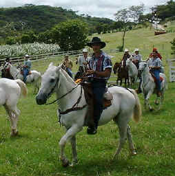 horse valiente 1