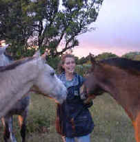 sabine's smiling horses in Monteverde Costa Rica