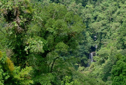 Monteverde Cloud Forest waterfall Paraiso