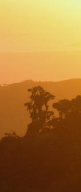 sunset Monteverde