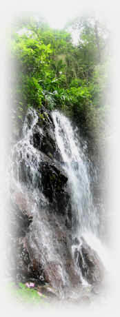 Monteverde waterfalls with sabine's smiling horses