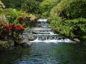 tabacon hot springs at arenal volcano fortuna