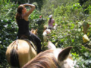 Monteverde Costa Rica horseback riding