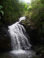 waterfall monteverde