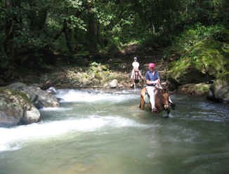 Monteverde to Sierra river horseback riding 2