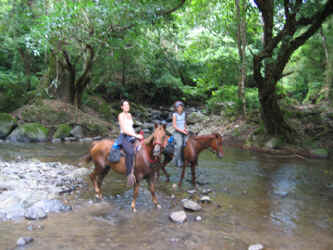 Monteverde to Sierra river horseback riding 1