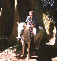 horseback riding vacation in cloud forest of monteverde Mark